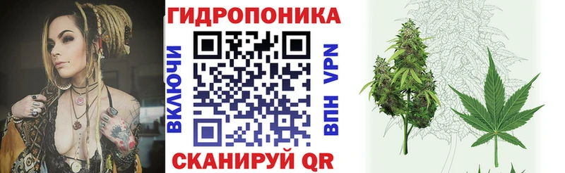 где найти   Фатеж  Бошки Шишки Bruce Banner 